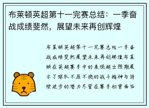 布莱顿英超第十一完赛总结：一季奋战成绩斐然，展望未来再创辉煌